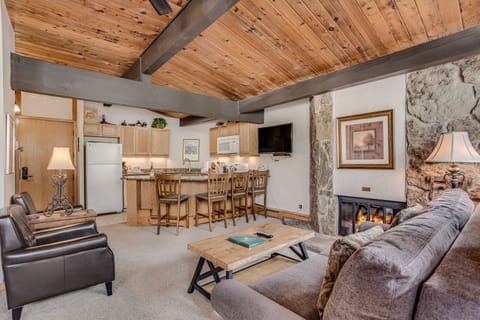 Living room with wood-burning fireplace