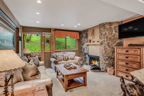 Living room with wood-burning fireplace