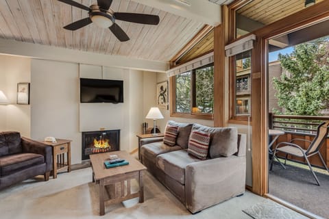 Living room with wood-burning fireplace