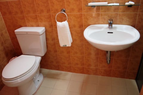 Executive Room | Bathroom | Combined shower/tub, free toiletries, hair dryer, towels