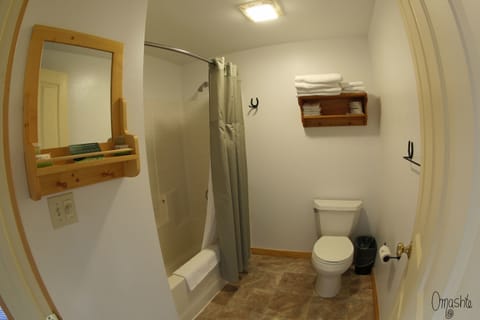 Combined shower/tub, free toiletries, hair dryer, towels