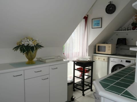 Cabinetry, Furniture, Plant, Drawer, Kitchen Appliance, Lighting, Kitchen Stove, Gas Stove, Flower