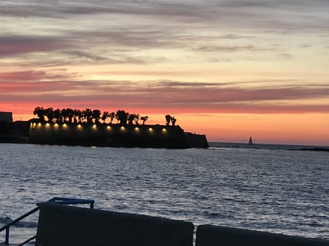The Venetian Harbor is a 15 minute walk from the home.