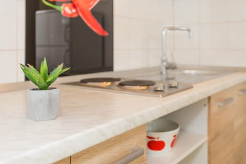 Apartment | Private kitchen | Fridge, microwave, stovetop, electric kettle