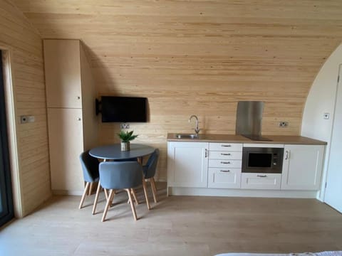 Open plan living space | Podiau Uwch Y Dyffryn, Llanelidan, near Ruthin