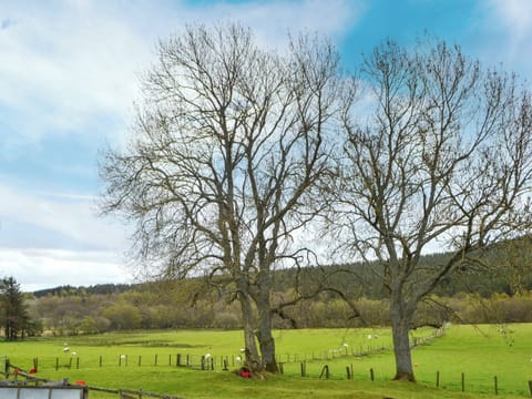 Surrounding area | Townhead Cottage, Harbottle