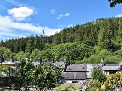 View | Squirrel Cottage - Banc Llugwy Cottages, Betws-y-Coed
