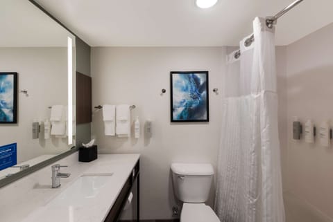 Standard Room, 2 Queen Beds | Bathroom | Free toiletries, hair dryer, towels, soap