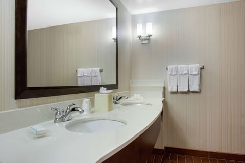 One King Bed Accessible | Bathroom | Shower, free toiletries, hair dryer, towels