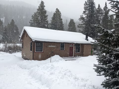 Cabin in the snow