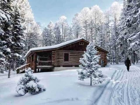 Cabin in winter