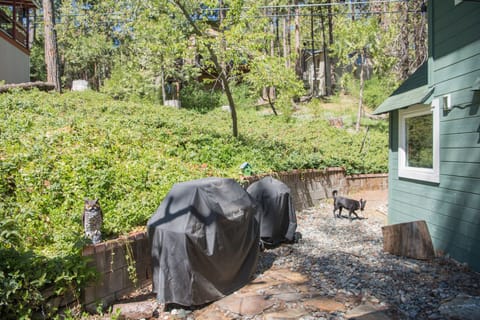 Both a propane and Weber grill