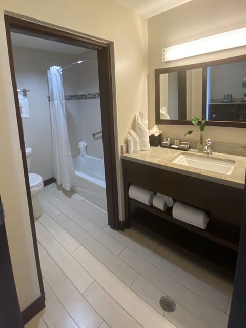 Combined shower/tub, deep soaking tub, free toiletries, hair dryer