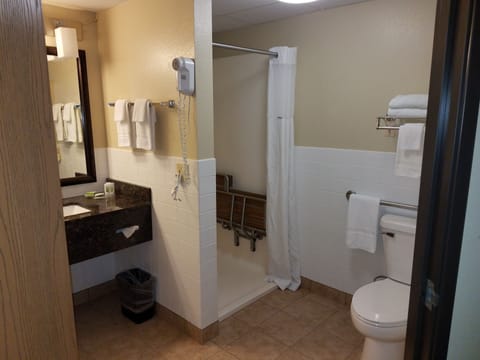 Room, 1 Queen Bed, Accessible, Non Smoking | Bathroom | Shower, hair dryer, towels