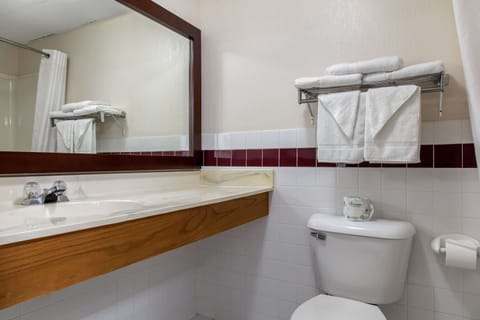 Standard Room, 1 King Bed, Non Smoking | Bathroom | Combined shower/tub, free toiletries, towels