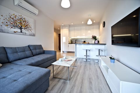 Deluxe Apartment | Living room | Flat-screen TV