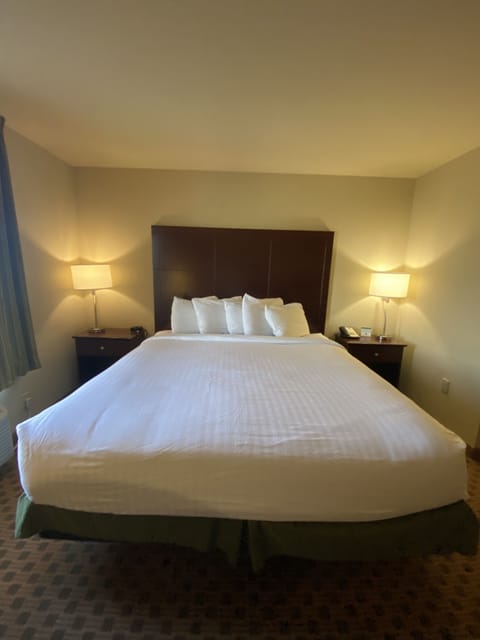 Room, 1 King Bed, Non Smoking | Premium bedding, in-room safe, individually furnished, desk