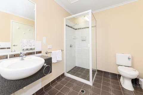 Executive Double or Twin Room | Bathroom | Shower, free toiletries, hair dryer, towels