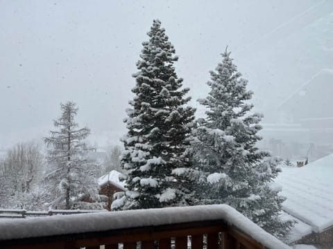 68A49871 5565 40BB 8E6C 77AC488CB940