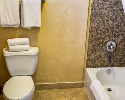 Combined shower/tub, free toiletries, hair dryer, towels