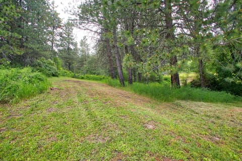 Space to play outdoors.