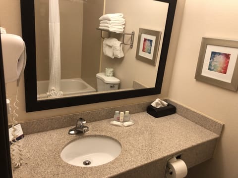 Bathroom sink