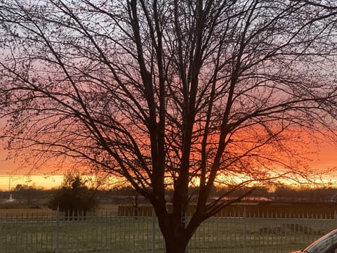 Lovely sunsets from the front porch