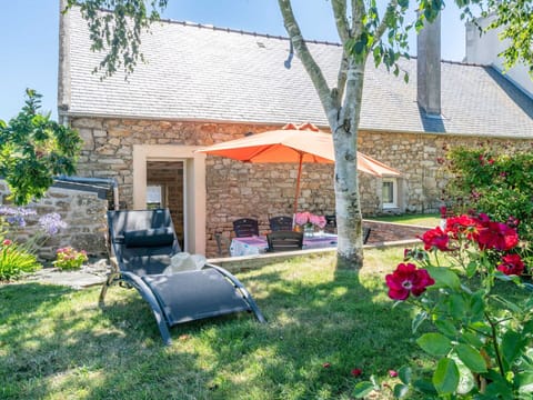 Flower, Plant, Sky, Property, Building, Leaf, Tree, Chair, House, Window