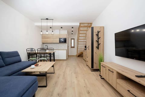 Living room with sofa bed, TV and kitchenette with dining area.