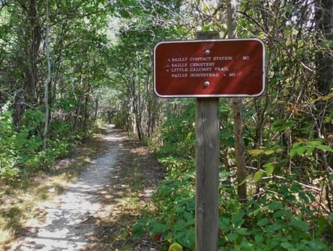 The Indiana Dunes National Park Trails begin 1/4 mile from the Camper