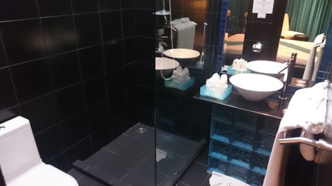 Deluxe Room | Bathroom amenities | Shower, free toiletries, hair dryer, towels