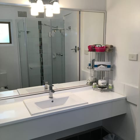 Family Room 4 | Bathroom | Shower, free toiletries, hair dryer, towels