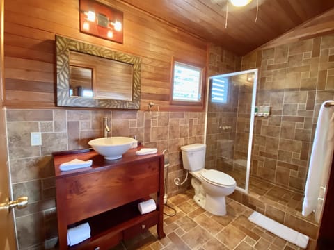Standard Room, 1 King Bed | Bathroom | Rainfall showerhead, free toiletries, hair dryer, towels