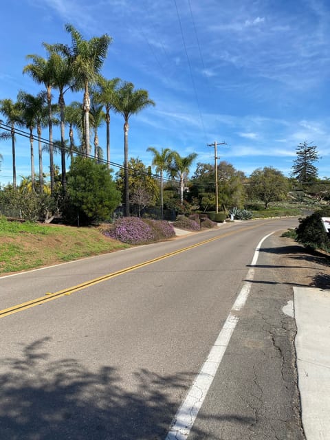 Our street with gorgeous homes and lush landscaping