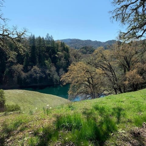 It’s the perfect retreat to get away from it all.