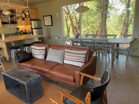 Open Kitchen/Living Room/Dining