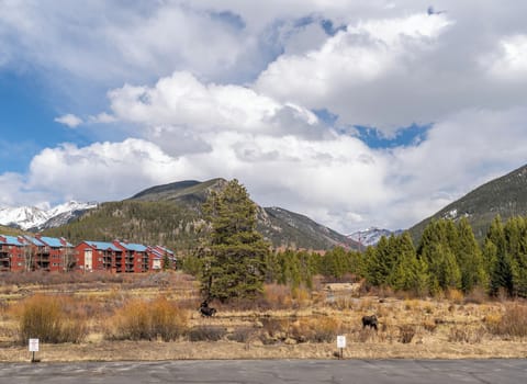 Apartment (2 Bedrooms) | Exterior