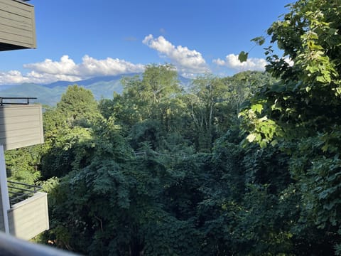 Living room balcony view