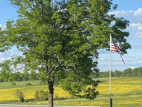 Nearby rural scenery 
