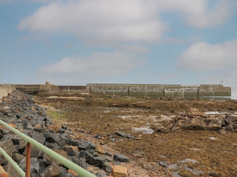 Cottage | Miscellaneous