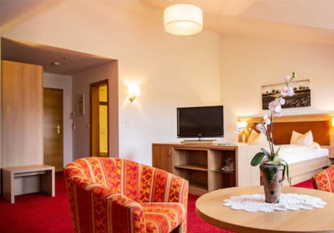 Comfort Double Room Single Use, 1 Double Bed, Non Smoking, Garden View | Living area | Flat-screen TV