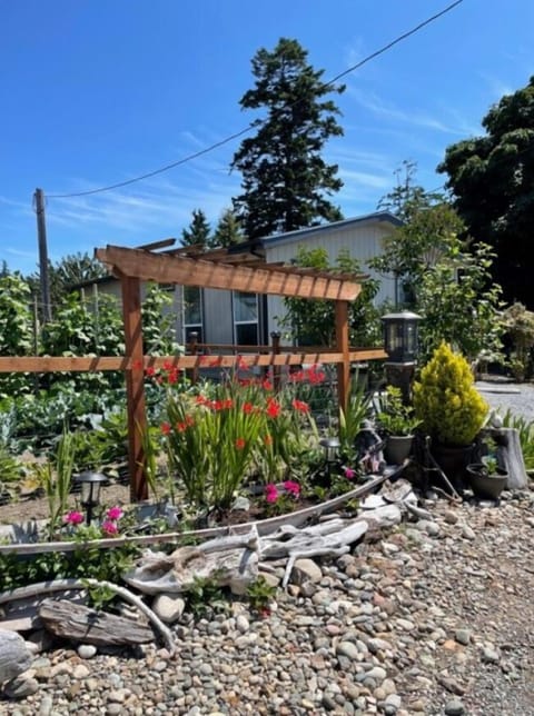 View from the street