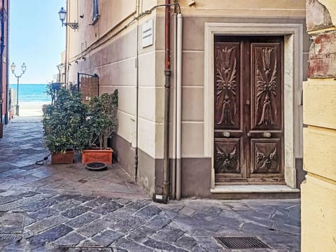 Door, Flooring, Street, Flowerpot, Home Door, Concrete, Cobblestone, Alley, Flagstone, Houseplant