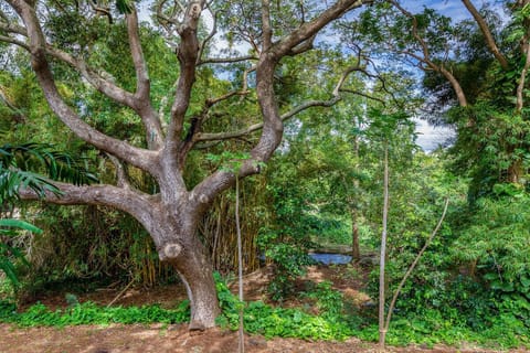 A bamboo forest, brightly colored flowers, and a waterfall spilling into a serene pond where multi-colored koi swim are all waiting to be discovered on the property surrounding unit 121.