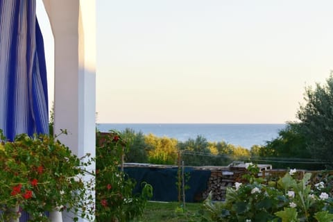 The magnificent sea and olive grove view from the property's garden.