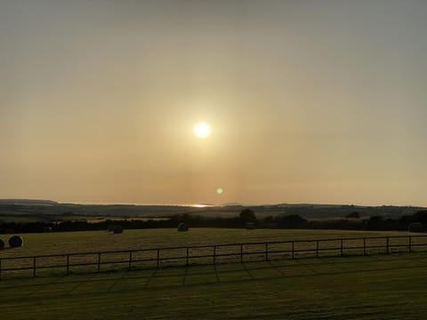 American School Bus - 1 Bedroom - Blossom Farm - Tiers Cross (18106)