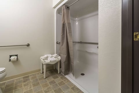 Deluxe Room, 1 Queen Bed, Accessible, Non Smoking | Accessible bathroom
