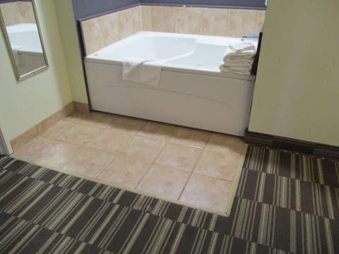 Combined shower/tub, free toiletries, hair dryer, towels