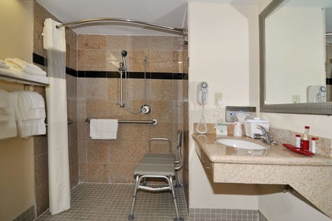 Combined shower/tub, free toiletries, hair dryer, towels