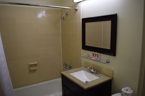 Combined shower/tub, free toiletries, hair dryer, towels